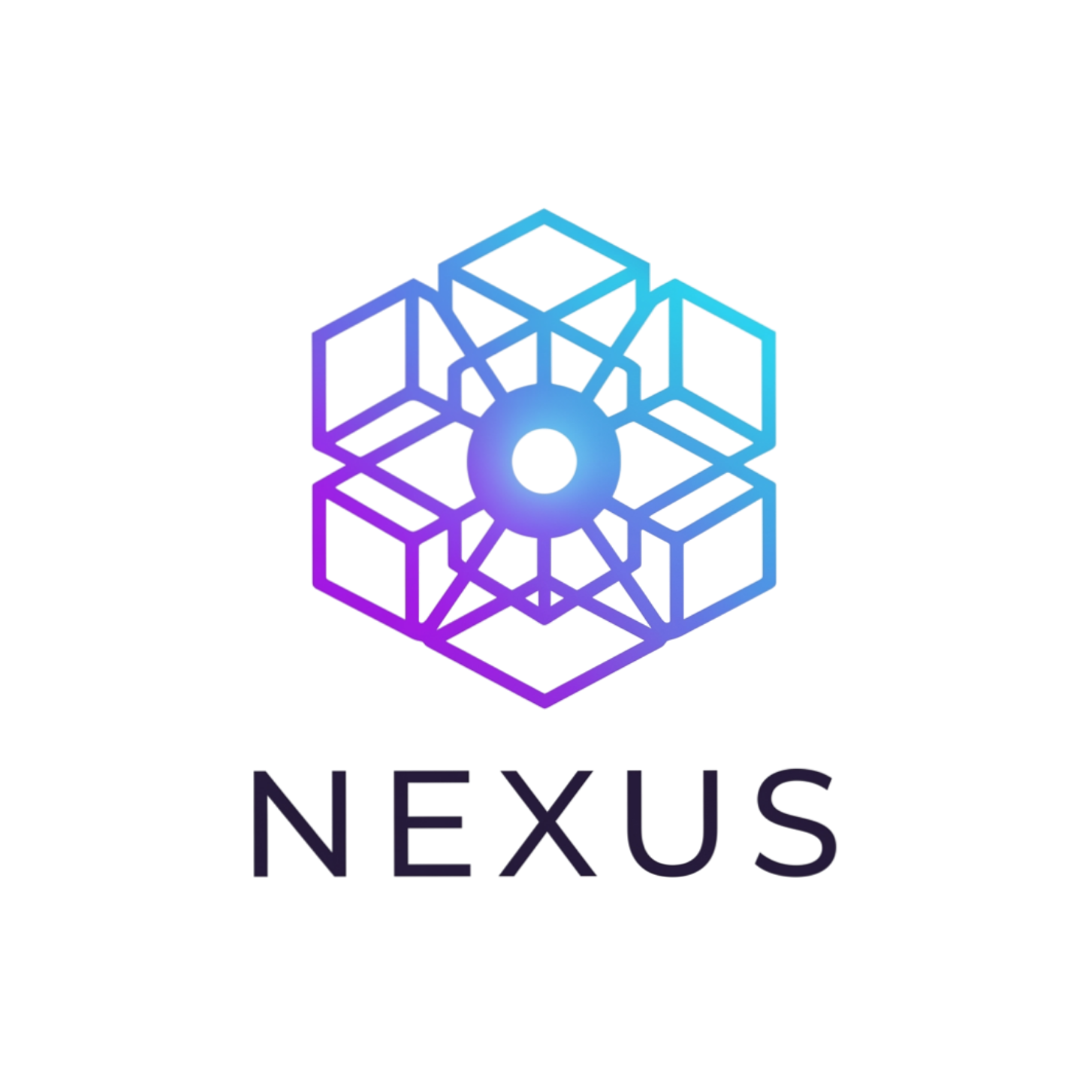 Nexus Logo